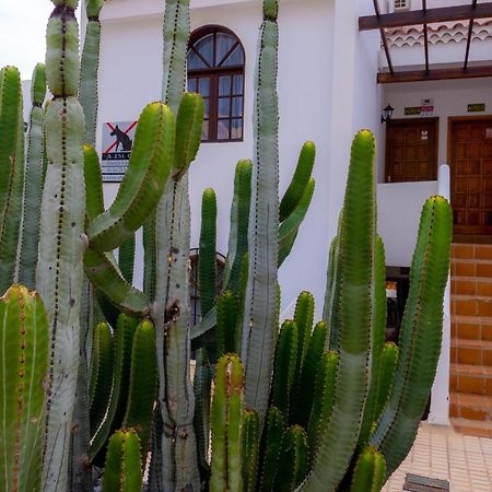 Las Bouganvillas 1 Bed Apartment In Costa Adeje 外观 照片